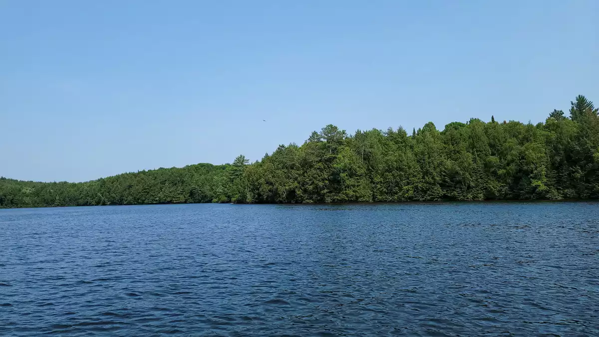 Northern Wisconsin - Photo 21