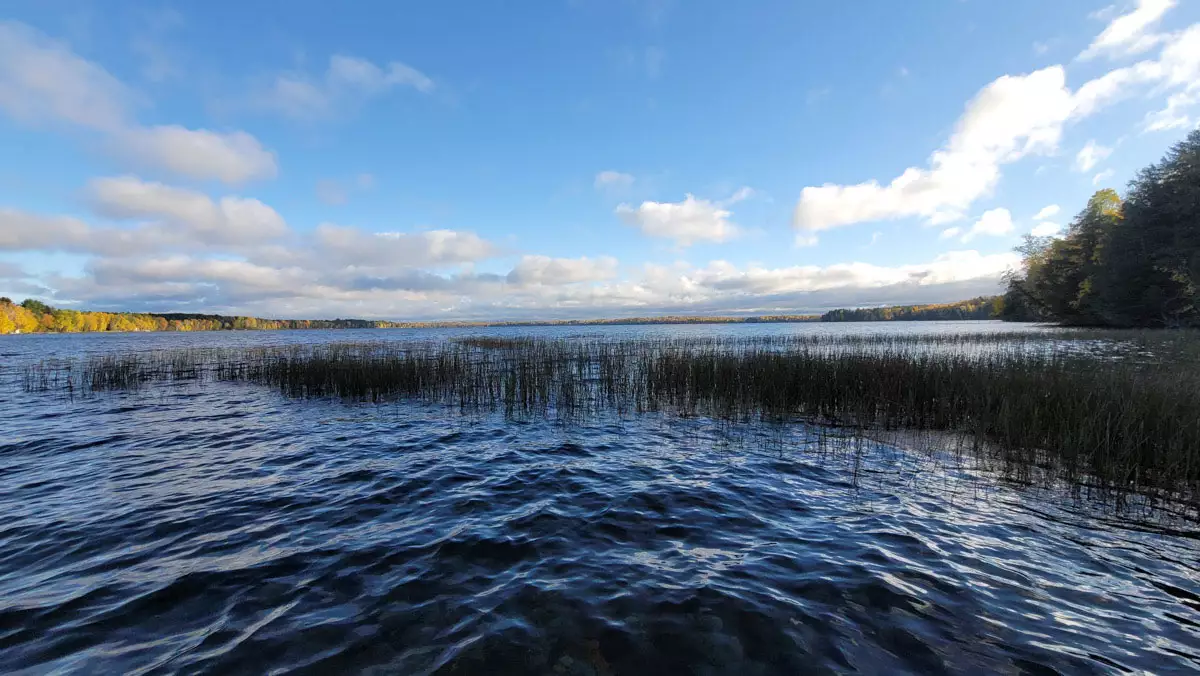 Northern Wisconsin - Photo 2