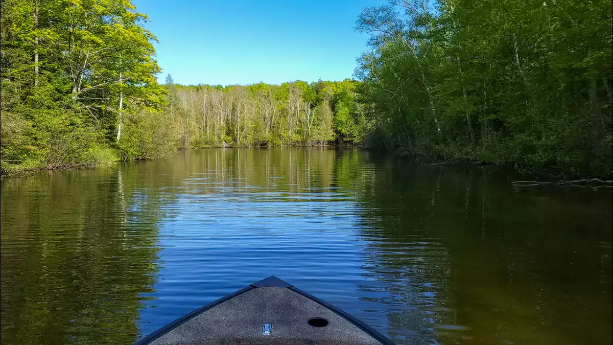 Northern Wisconsin - Photo 12
