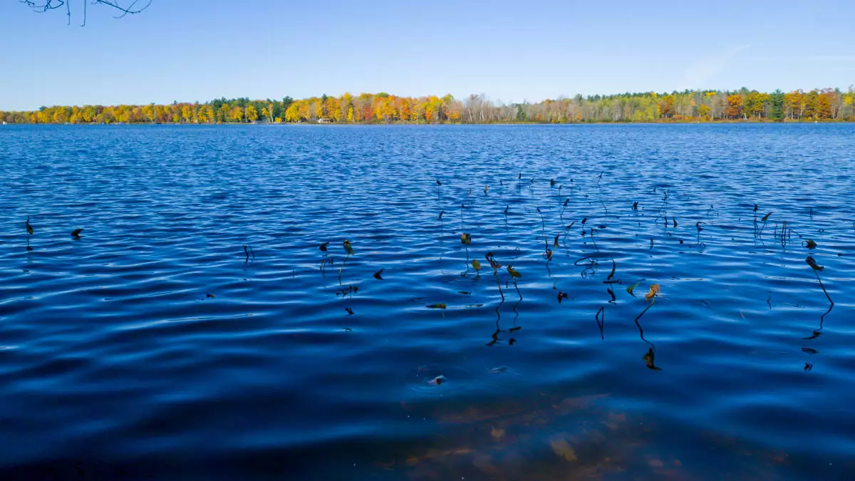 Northern Wisconsin - Photo 2