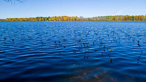 Picture of shishebogamalake