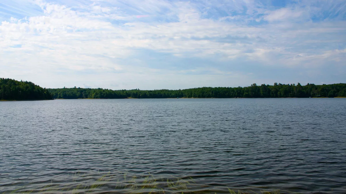 Northern Wisconsin - Photo 4