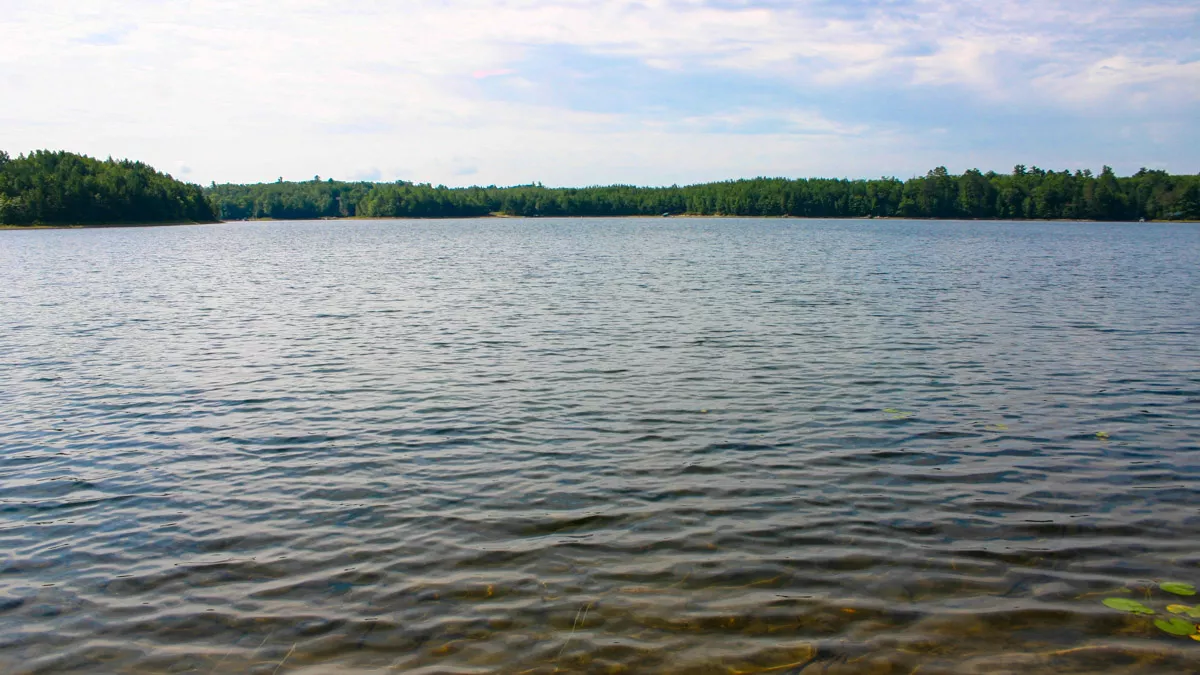 Northern Wisconsin - Photo 5