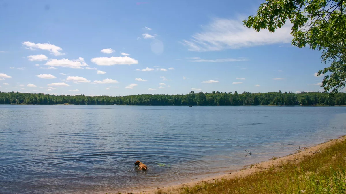 Northern Wisconsin - Photo 6