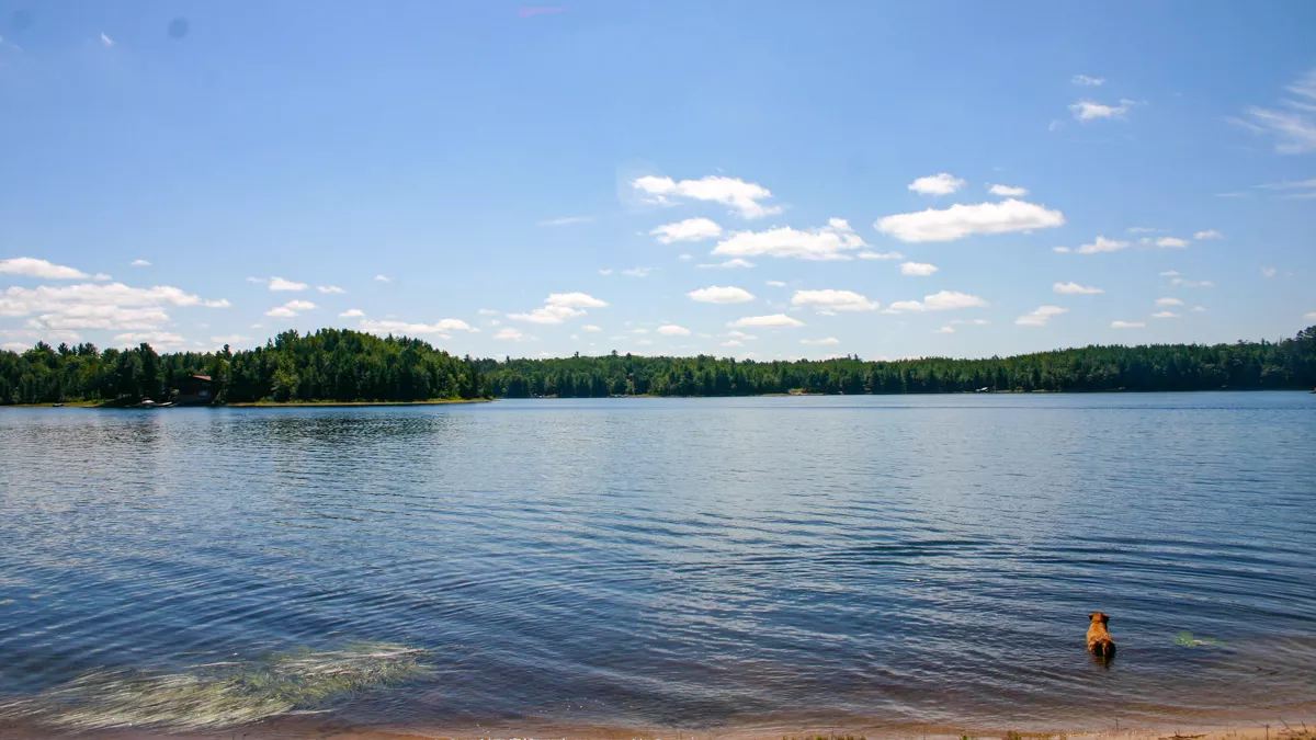 Northern Wisconsin - Photo 7