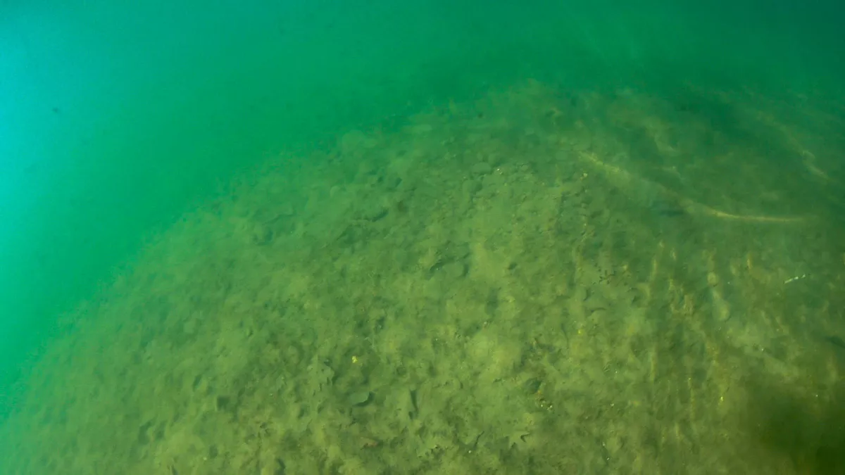 Northern Wisconsin - Photo 10