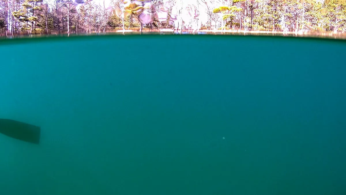 Northern Wisconsin - Photo 11