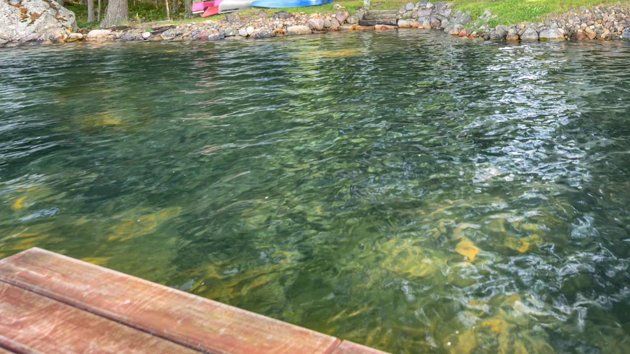 Northern Wisconsin - Photo 25