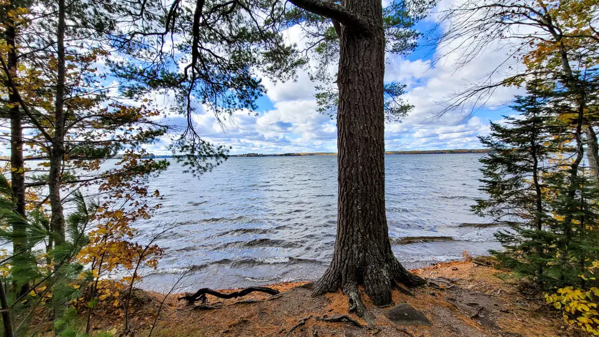 Northern Wisconsin - Photo 2