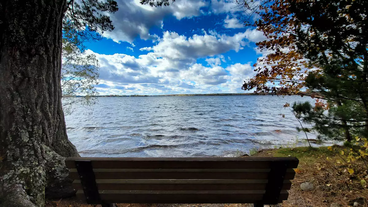 Northern Wisconsin - Photo 4