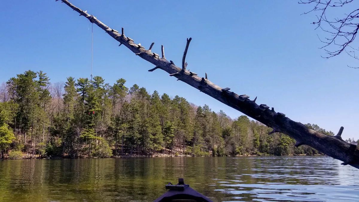 Northern Wisconsin - Photo 4