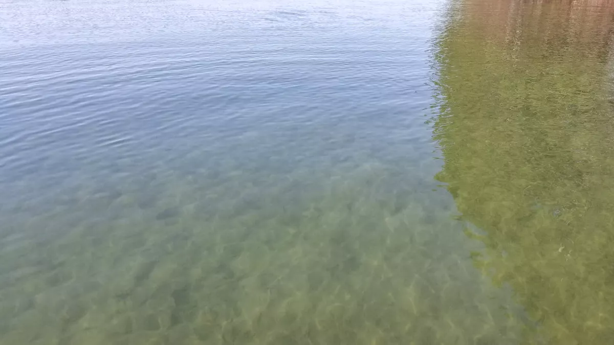 Northern Wisconsin - Photo 11