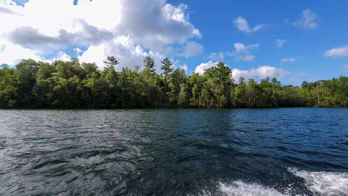 Northern Wisconsin - Photo 31