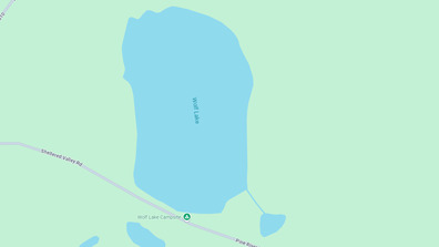 Picture 1 of Wolf Lake TL